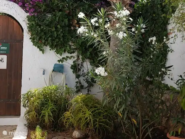 Villa Carasol | Espagne, Costa Blanca, Jávea - villa Entrée