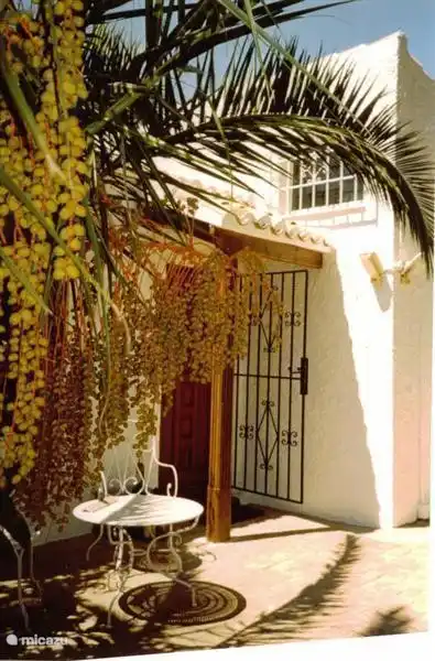 Front garden with driveway and carport.