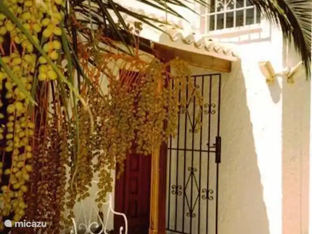 Villa Carasol | Espagne, Costa Blanca, Jávea - villa Porte d'entrée avec palme.