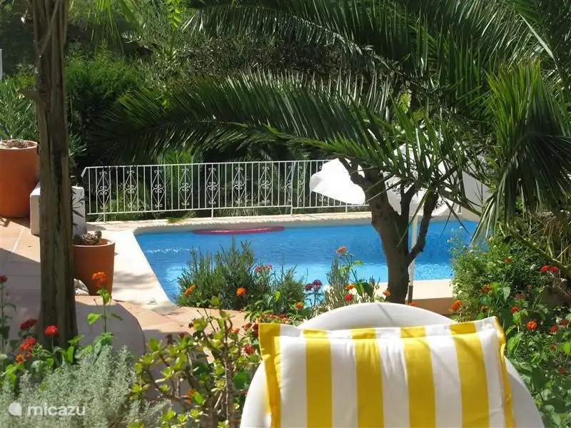 Pool view from the pergola