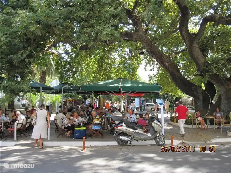 Heerlijk verblijf op de terrasjes of stranden in Pylos, Methoni, Gialova, Finikounda of Koroni. Allemaal op korte afstand. 