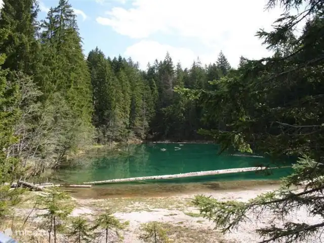 Chalet FrieLinde 2 a 11 personas en Austria, Carintia, Kirchbach - chalet Hermoso lago en el camino a Nassfeldpass