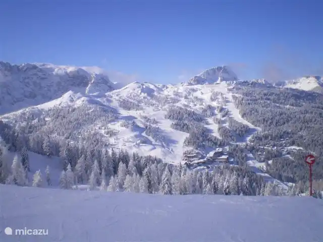 Chalet FrieLinde 2 a 11 personas en Austria, Carintia, Kirchbach - chalet Elige tu pendiente, quién irá con ella