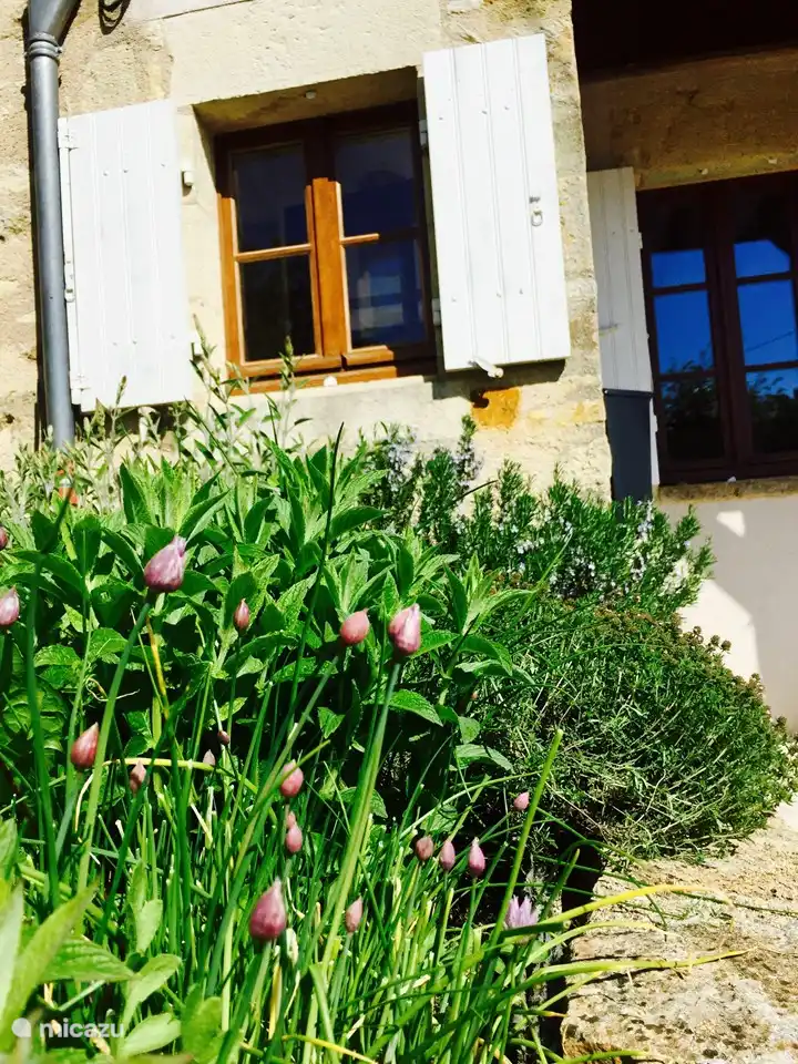 Der Kräutergarten mit Schnittlauch, Minze, Petersilie, Thymian, Rosmarin, Eisenkraut und Salbei