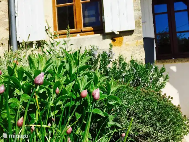 Location de Vacances France, Nièvre, Saizy, maison de vacances - Gîte Le Cochon Volant Le jardin d’herbes aromatiques à la ciboulette, menthe, persil, thym, romarin, verveine et sauge