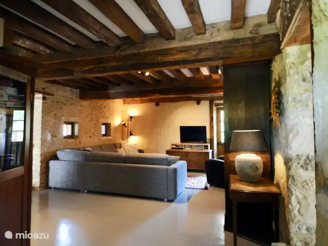 Location de Vacances France, Nièvre, Saizy, maison de vacances - Gîte Le Cochon Volant La salle de jeux/TV grise, avec WC séparés. Situé entre la salle à manger/salon et la grange d’été. Aire de jeux idéale pour les enfants. Dans la vitrine, vous trouverez des jeux de société et d’autres jouets.