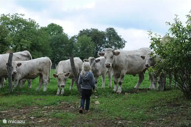 Immer schön, neue Gesichter zu sehen.