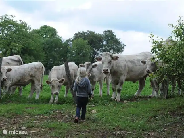 Location de Vacances France, Nièvre, Saizy, maison de vacances - Gîte Le Cochon Volant Toujours agréable de voir de nouveaux visages.