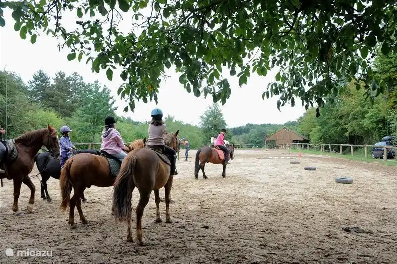 Reitzentrum 'Les Ecuries de la Croix des Bois' in Montillot. Reiten in der Arena oder durch den Wald unter Aufsicht. Spazierponys zum Vermieten für Kinder ab 5 Jahren. Mehrtägige Tourenritte möglich. 