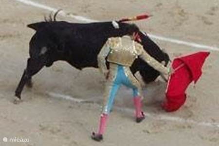 Stierengevecht in Béziers