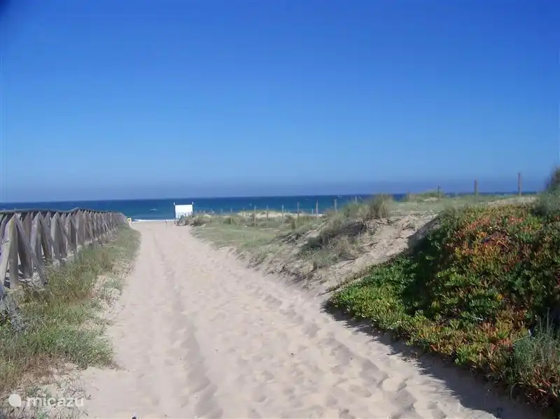 Rent Casa Van Gelder In San Fulgencio La Marina Costa Blanca Micazu