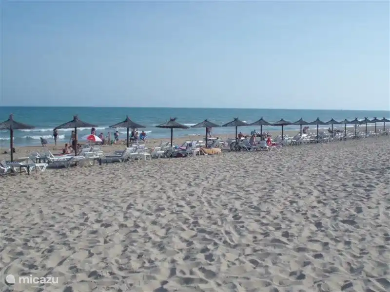 Rent Casa Van Gelder In San Fulgencio La Marina Costa Blanca Micazu