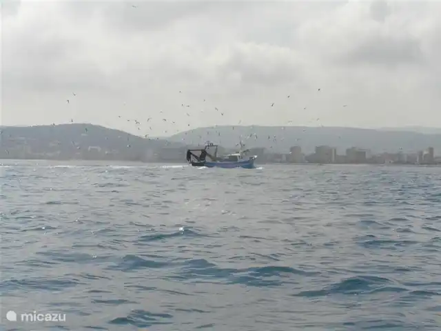 Location de Vacances Espagne, Costa Brava, Calonge, villa - Casa la Curva A 8 km du port de pêche de Palamos. Arrivée quotidienne des bateaux de pêche. Propre criée au poisson.