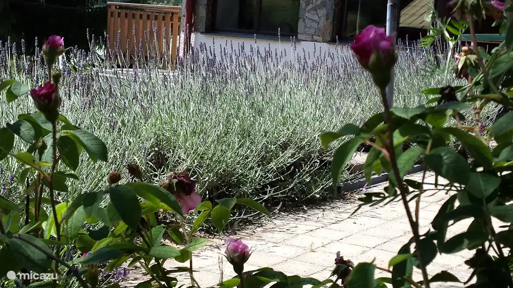 El jardín es colorido