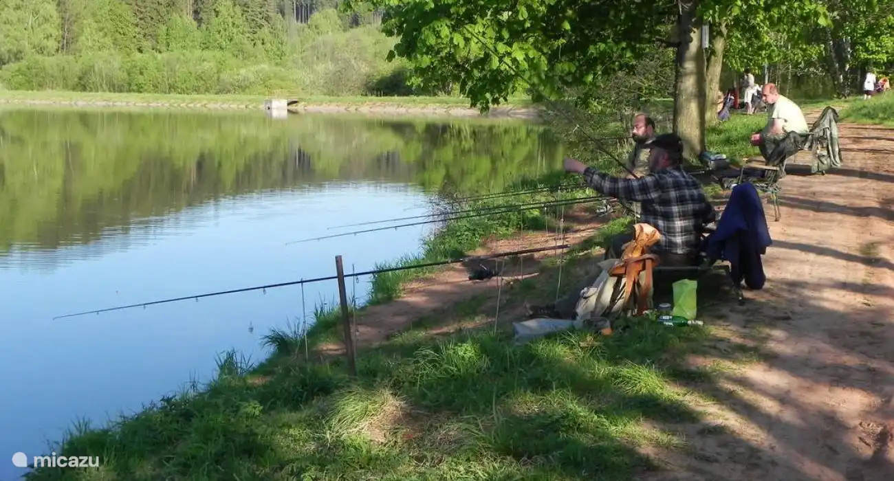 Pesca en el lago de pesca