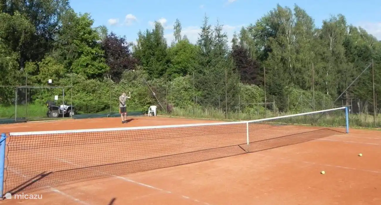 Alquiler de canchas de tenis