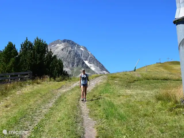 La Marmotte | France, Savoie, La Norma - chalet Randonnée dans le Parc La Vanoise
