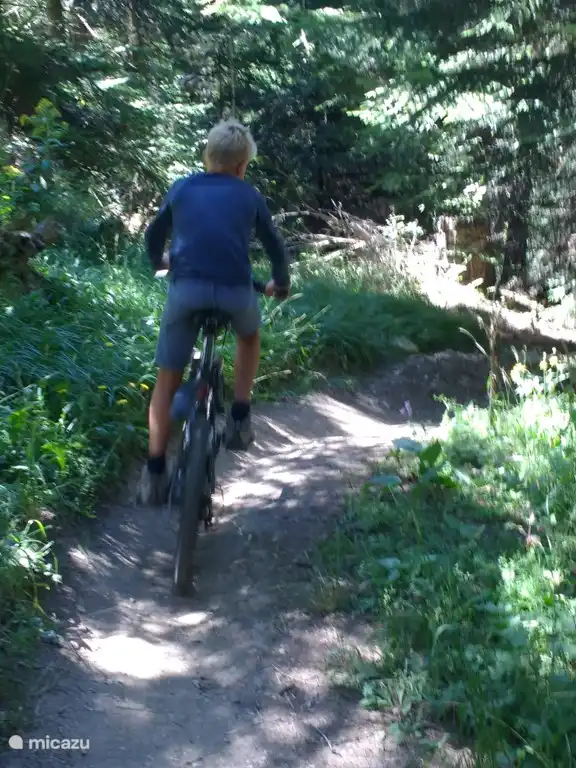 Mountainbiken durch den Wald, hinter dem Chalet