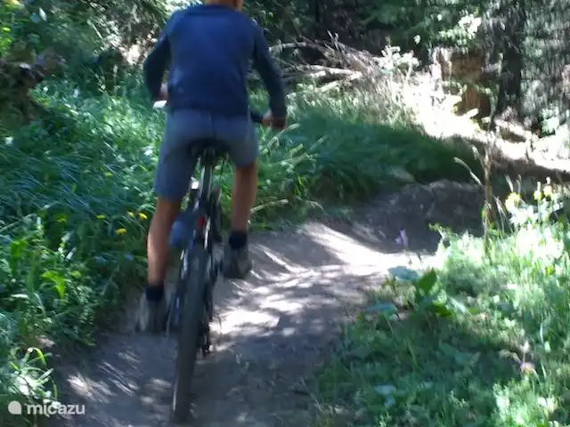 La Marmotte | France, Savoie, La Norma - chalet VTT à travers les bois, derrière le chalet