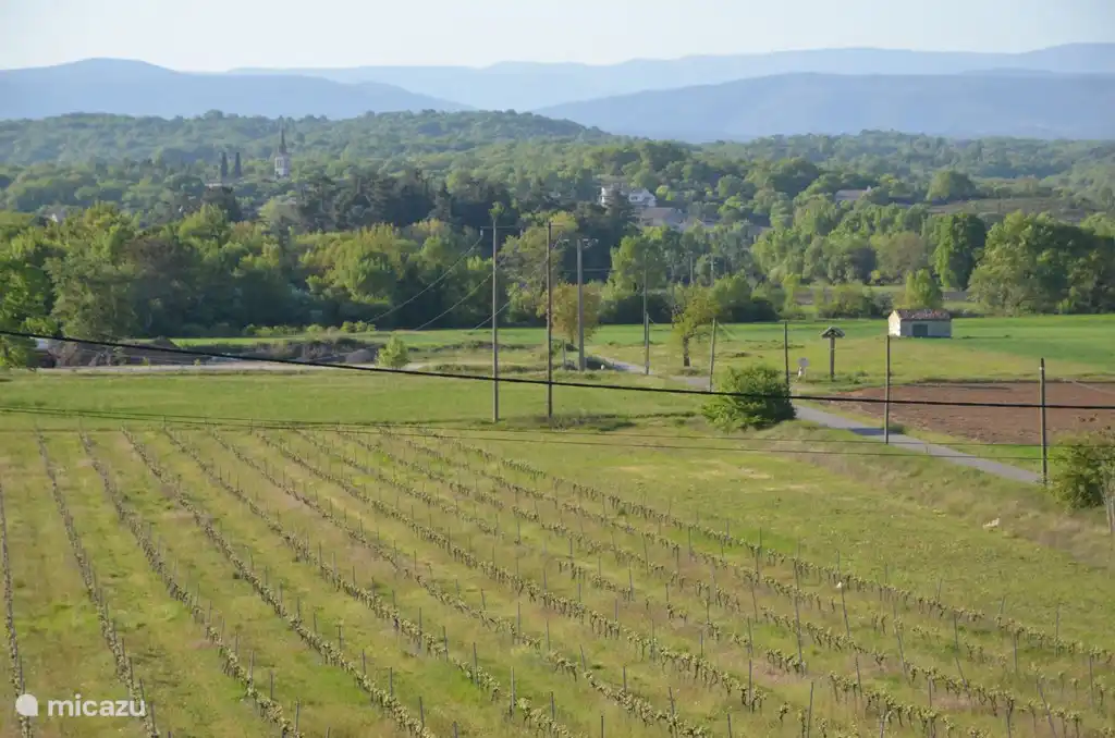 Blick vom Essbereich.