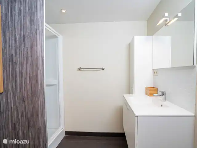 Le Vacher | France, Ardèche, Beaulieu (Ardèche) - maison de vacances 2 la salle de bain en bas dans l’une des chambres.