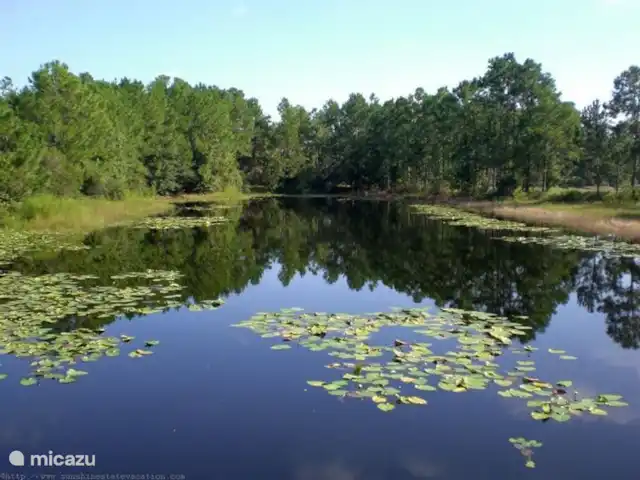 Villa Maison d'Orange Davenport | États-Unis, Floride, Davenport - villa Station balnéaire de Watersong.