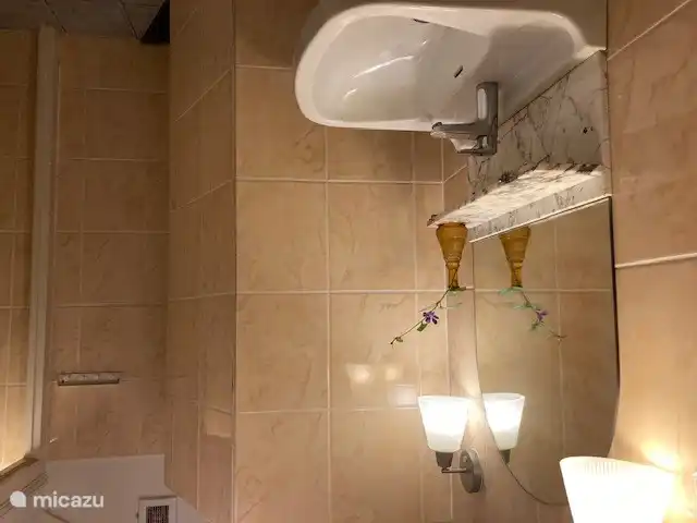 Badezimmer mit originellen Details