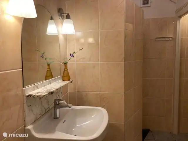 Les Deux Pins | France, Aisne, Vendresse-Beaulne - gîte / cottage Salle de bain avec des détails originaux