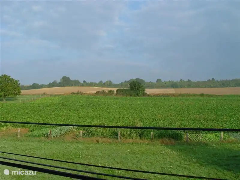 Blick aus dem Schlafzimmer-Fenster vorn