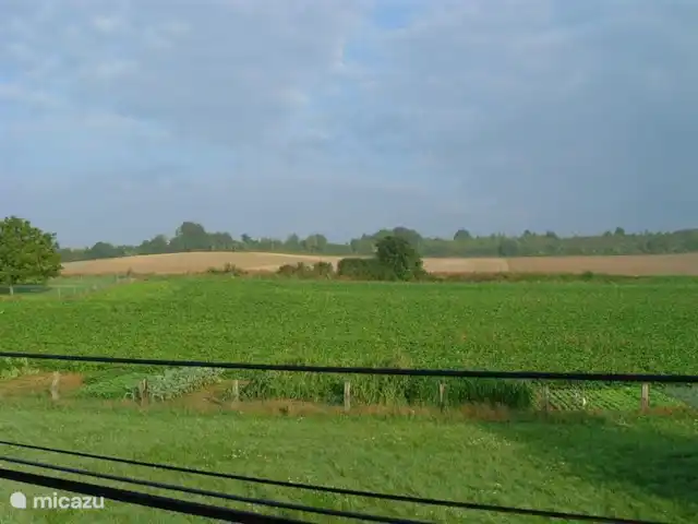 Les Deux Pins | France, Aisne, Vendresse-Beaulne - gîte / cottage Vue depuis la fenêtre de la chambre avant