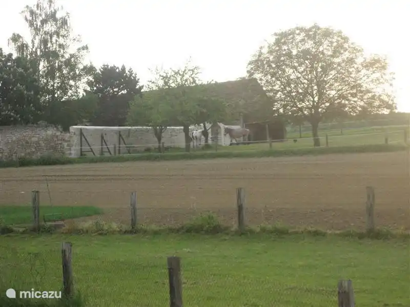 Nur einen Spaziergang in das Haus zusammen mit einem Blick auf den Hamlet.
