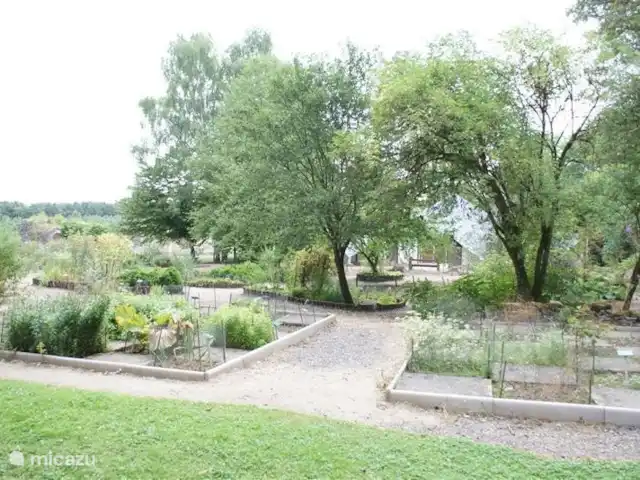 Les Deux Pins | France, Aisne, Vendresse-Beaulne - gîte / cottage Le jardin des plantes aromatiques des ruines de l'abbaye