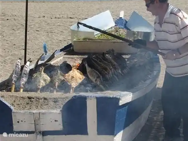 Casa Pimienta huren in Spanje, Andalusië, Velez-Malaga - villa Aan de kust geroosterde vis eten