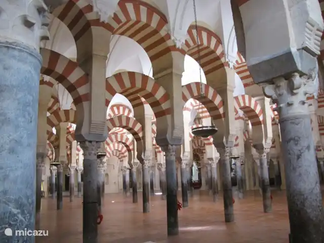 Casa Pimienta huren in Spanje, Andalusië, Velez-Malaga - villa Mesquita in Cordoba.