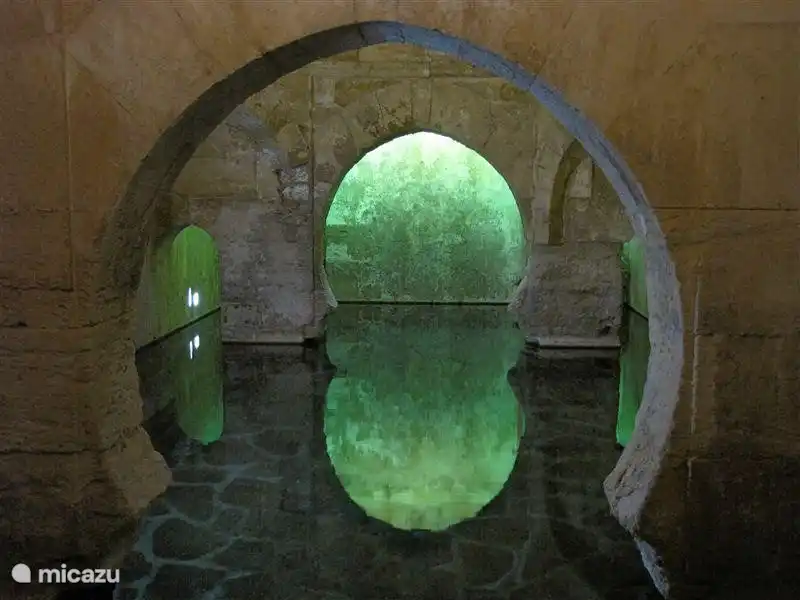 The Roman Baths of Alhama de Granada