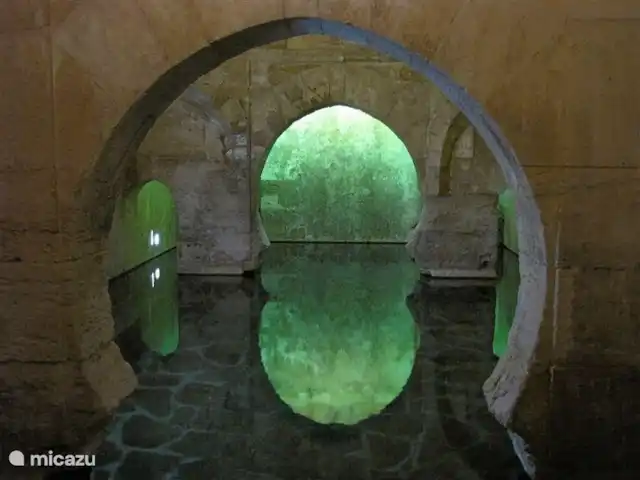 Casa Pimienta huren in Spanje, Andalusië, Velez-Malaga - villa De Romeinse baden van Alhama de Granada