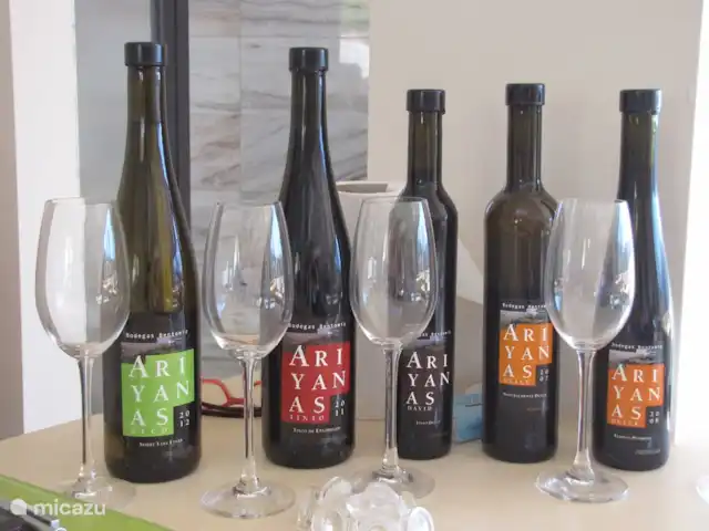 Casa Pimienta huren in Spanje, Andalusië, Velez-Malaga - villa Wijn proeven bij een bodega.