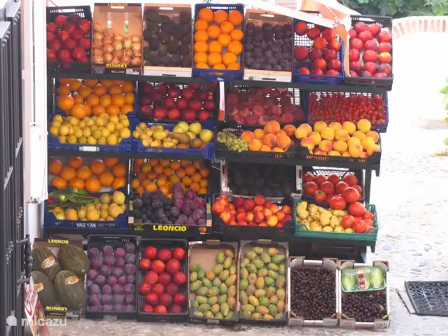Casa Pimienta huren in Spanje, Andalusië, Velez-Malaga - villa Vitamines!