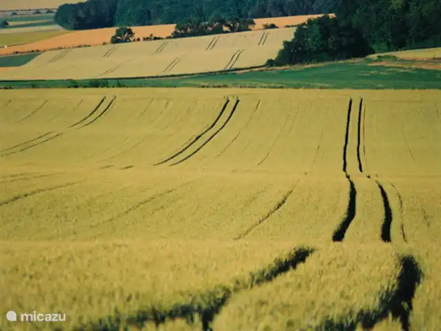 boerderij huren in Frankrijk, Yonne, Lainsecq – Le Champmartin Vergezichten in de omgeving.