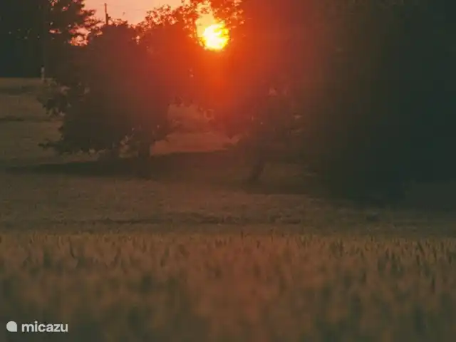 boerderij huren in Frankrijk, Yonne, Lainsecq – Le Champmartin Schitterende zonsondergang.