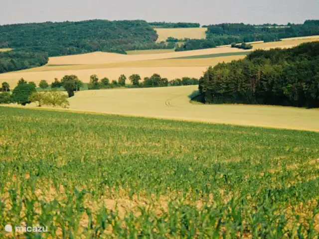 boerderij huren in Frankrijk, Yonne, Lainsecq – Le Champmartin Landschap.