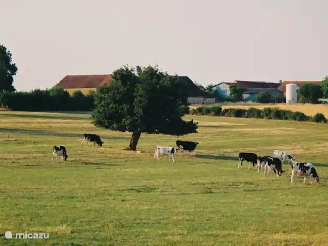 boerderij huren in Frankrijk, Yonne, Lainsecq – Le Champmartin In de buurt.