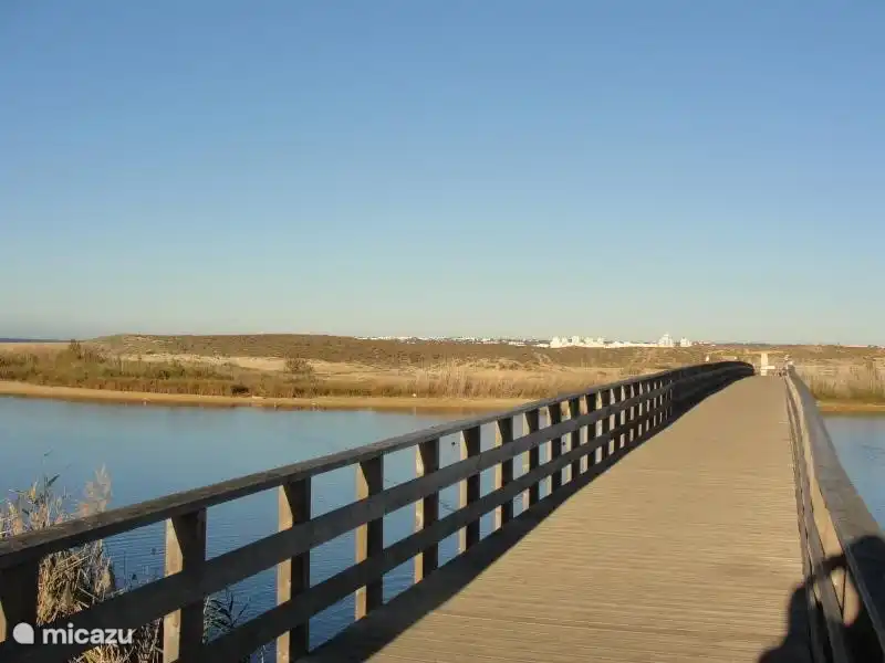 Praia dos Salgados, hinter der Düne ist eine kleine, aber schöne Gegend mit vielen Arten von Wasservögeln.