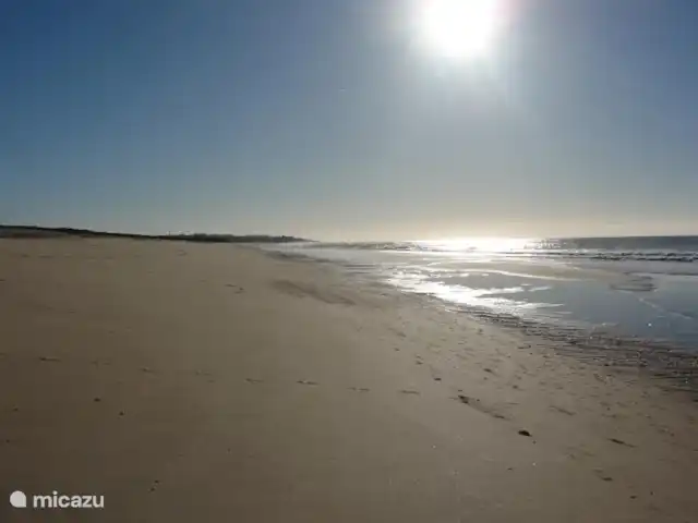 Location de Vacances Portugal, Algarve, Albufeira, maison de vacances - Quinta Elisabeth Marchez sans fin.