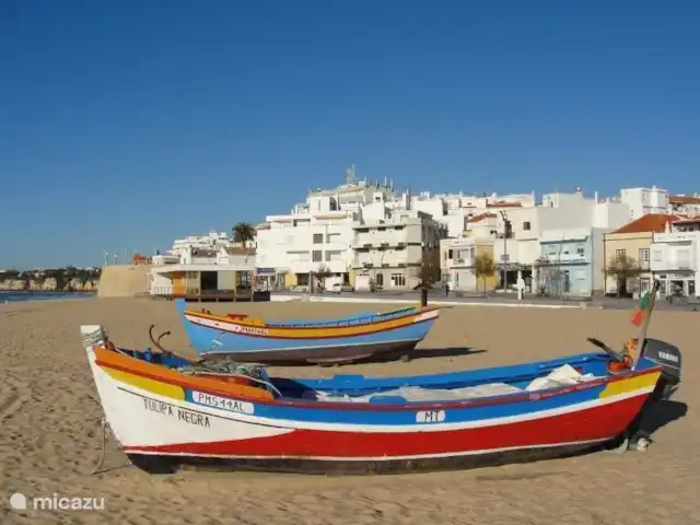 Location de Vacances Portugal, Algarve, Albufeira, maison de vacances - Quinta Elisabeth C'est un tout coloré.