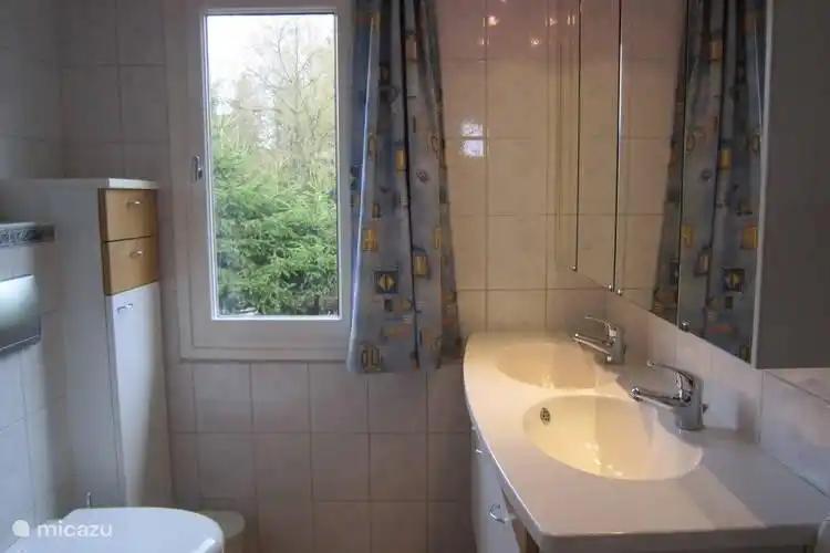 Badezimmer mit Dusche und zwei Waschbecken