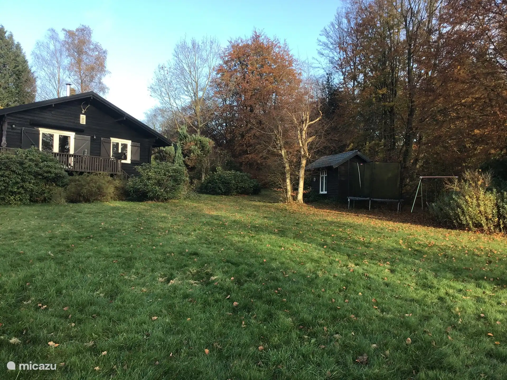 Grün, grün überall.