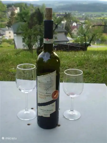 La casa desde el asiento en lo alto del jardín.