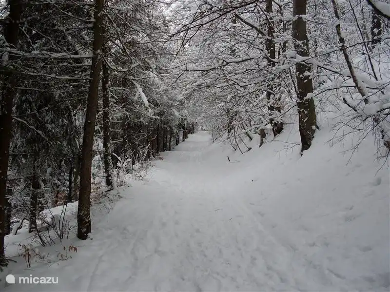 En el parque del pueblo. Pintoresco