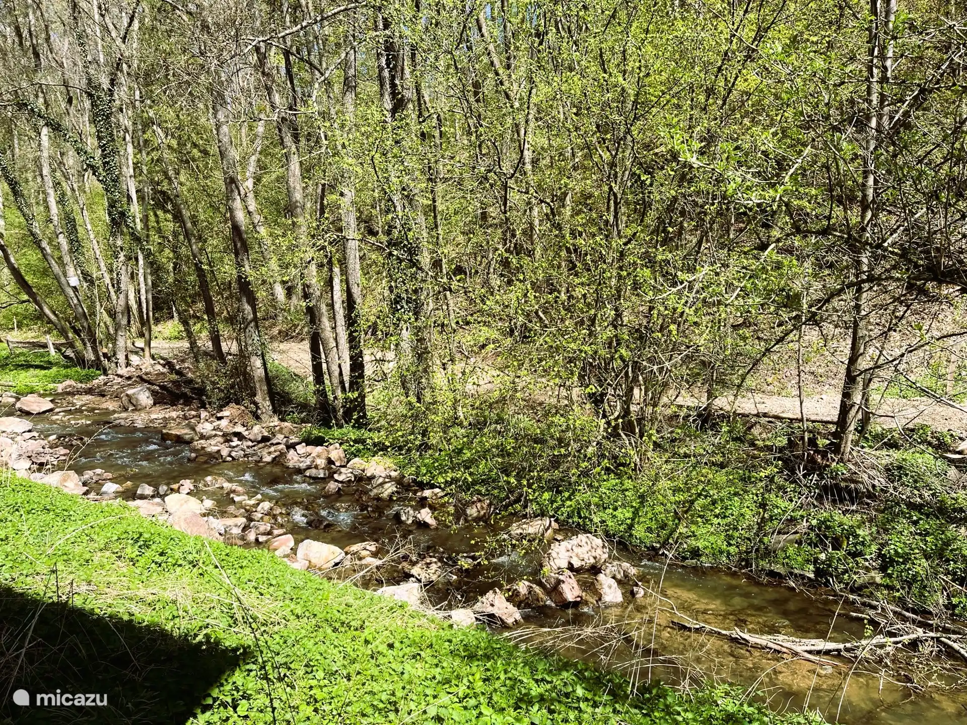 Blick von hinten vom Balkon